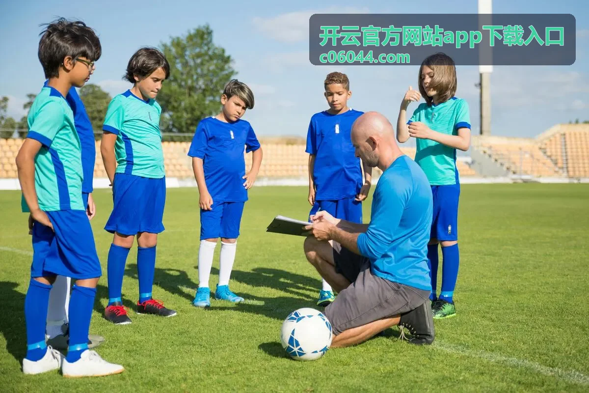 开云官方网站app下载入口版本与安装说明示意